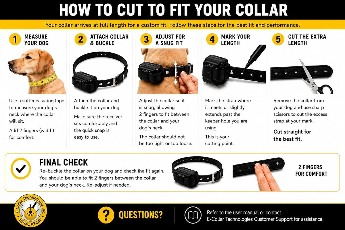 E-Collar Mini ET-300 Remote Dog Training Collar, ZEN
